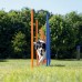 Agility slalom štapovi za treniranje psa